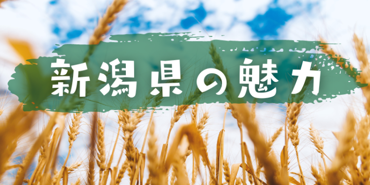 新潟県の魅力